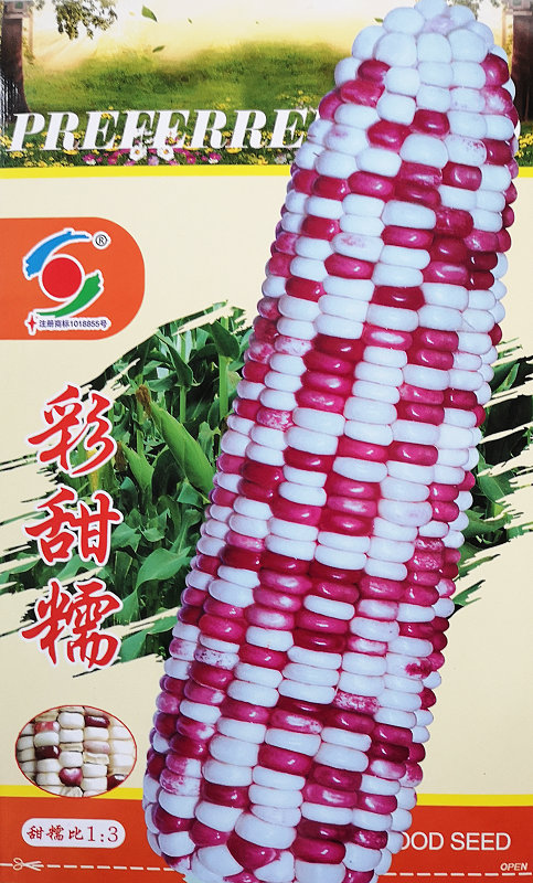 Shenshi Caitiannuo——Corn